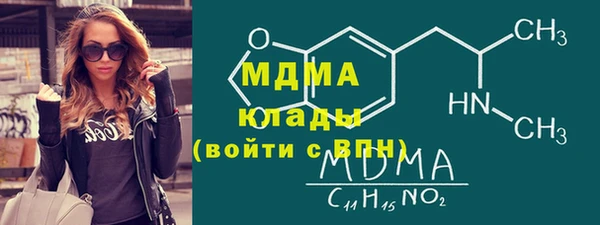 ГАЛЛЮЦИНОГЕННЫЕ ГРИБЫ Дмитриев
