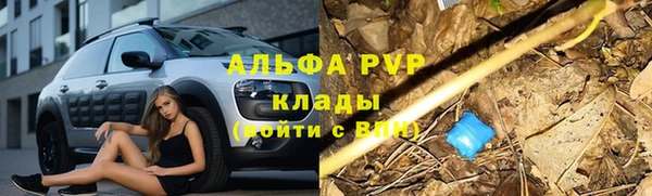 Альфа ПВП Арсеньев